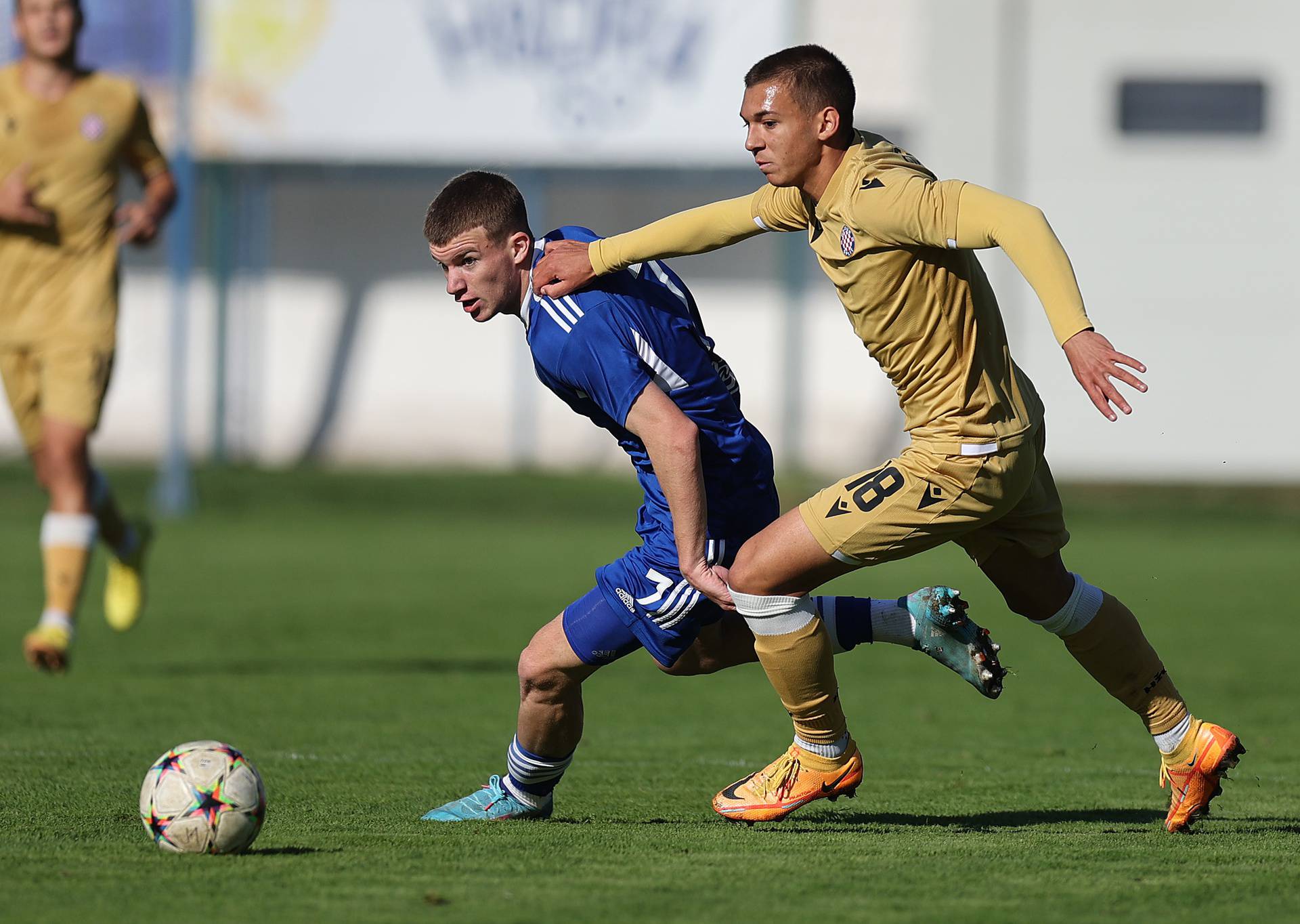 Zagreb: Prva NL Juniori, GNK Dinamo - HNK Hajduk