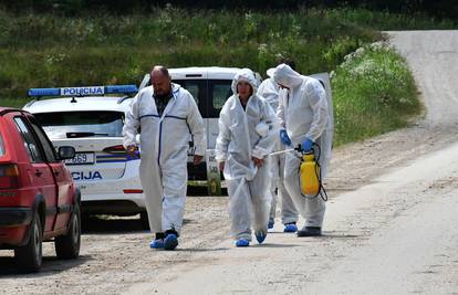 Hara afrička svinjska kuga: 'Svinjetine će u budućnosti biti malo, a cijene će podivljati...'