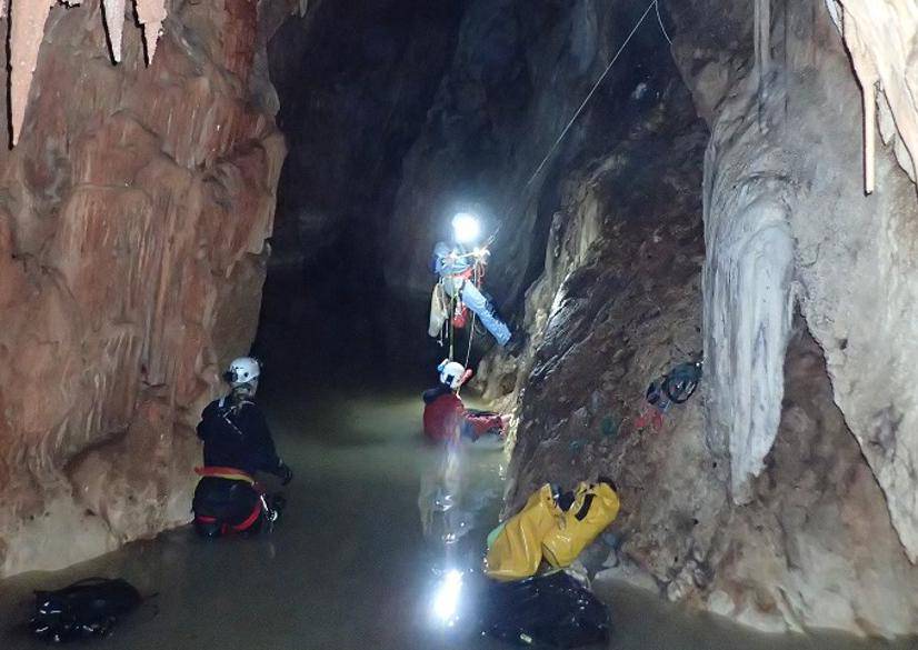 U jami na Korčuli pronašli zube ribe stare 100 milijuna godina!