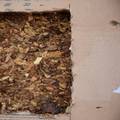 Uskok pokrenuo istragu protiv petorice: U RH prokrijumčarili i prodali 54 tone duhana