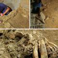 Zadarski arheolozi našli glavu konja staru 17.000 godina: 'Čekamo prijedloge za ime'
