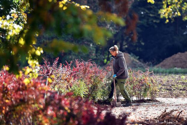 Obilazak Aboretuma Opeka u Marčanu, najvećeg arboretuma u Hrvatskoj