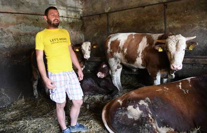 Poljoprivrednik Tomislav: Kad bih bar zadnje dvije junice mogao spasiti, da se bar vrate