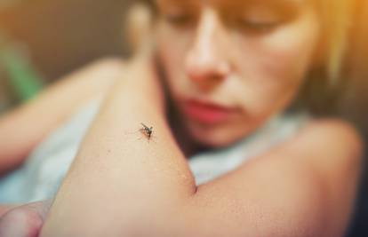 Zaštitite se na siguran način od komaraca i krpelja