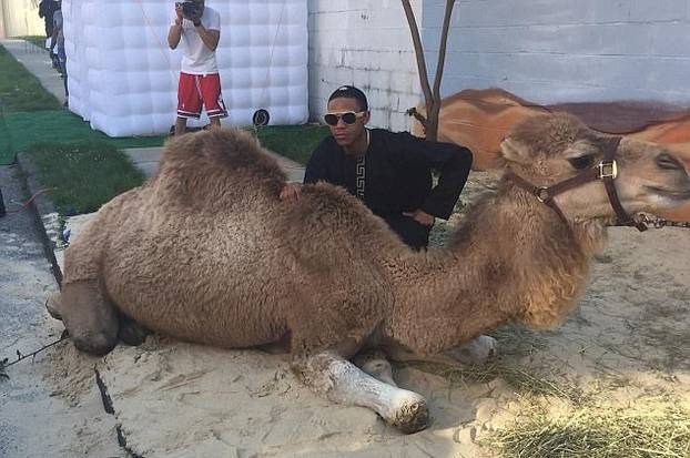 Maturalna ve&ccaron;era - tematika Dubai