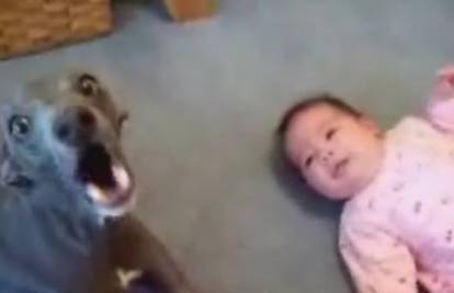 Malena beba i simpatični pas pjevaju u duetu