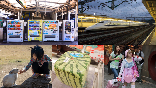 Neke ozbiljno 'čudne' stvari postoje samo u Japanu: Fetiš automati, kafići za maženje...