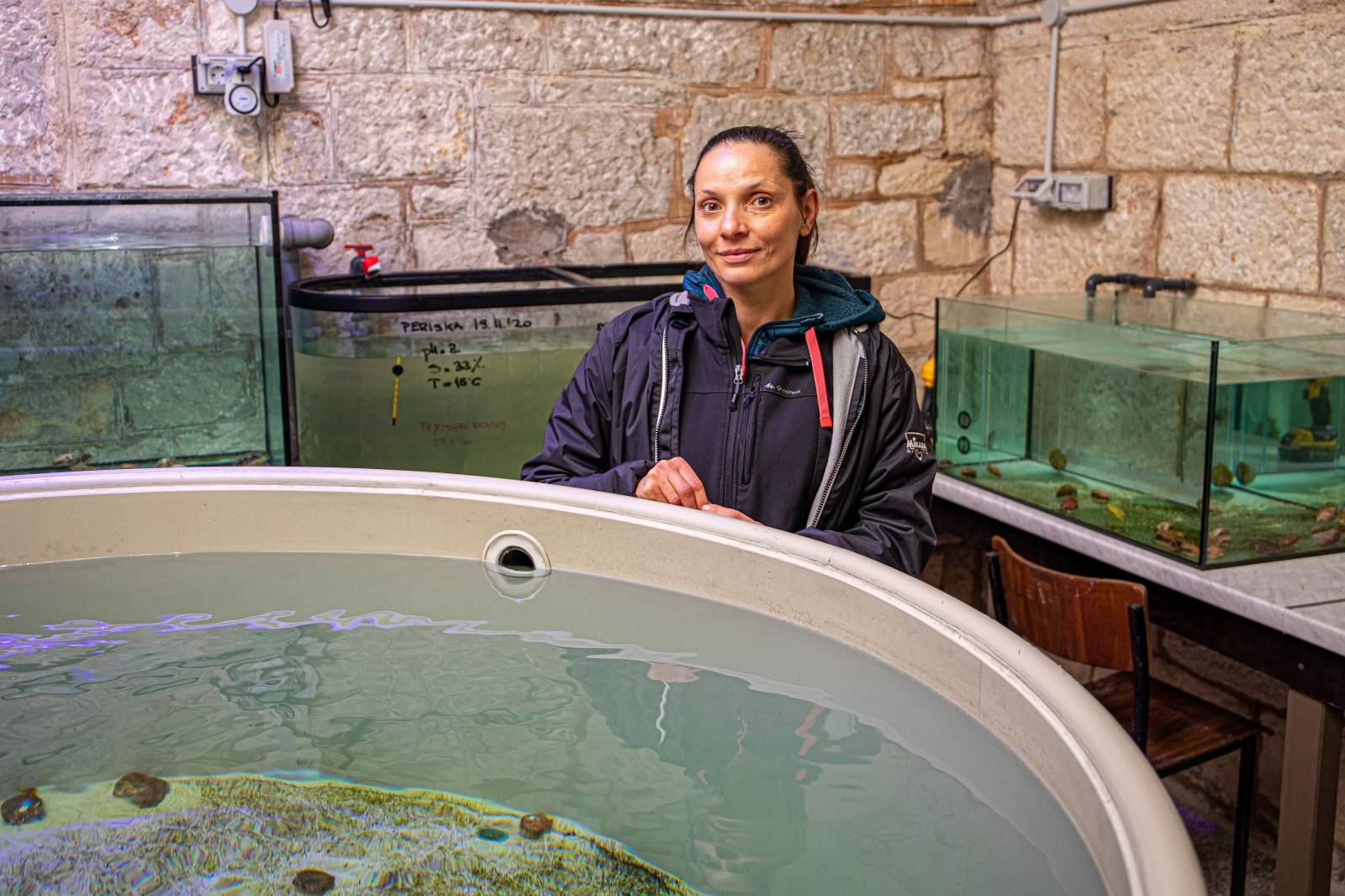 Pula: Zaštićene bebe periske stigle u svoj "vrtić" u Aquarium Pula