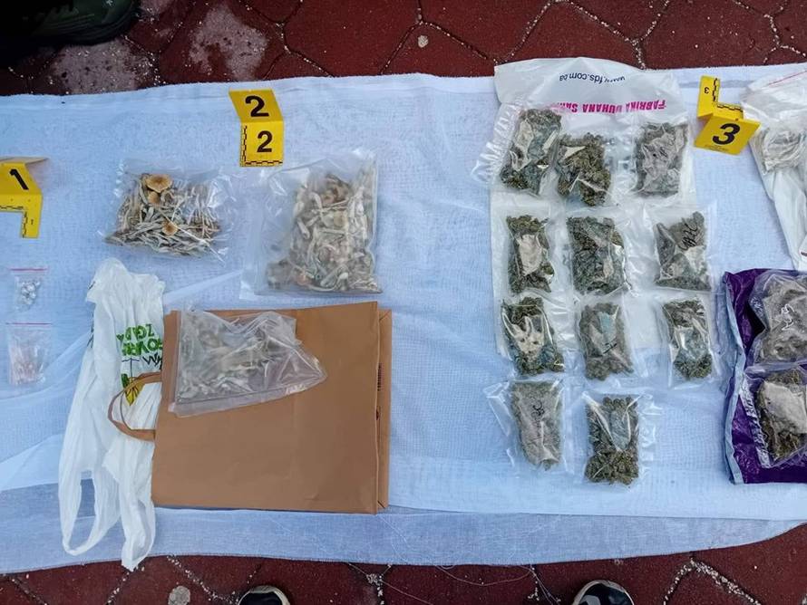 Drama u Sarajevu. Autom krenuo na prosvjednike. Našli mu gljive, travu, LSD, kokain...