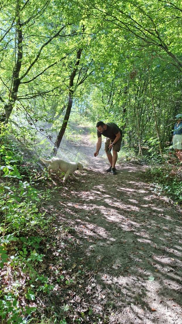 FOTO Pogledajte kako izgleda lov na tartufe u istarskoj šumi