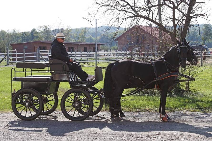 Ponos i Dika vinarije Enosophia: Isprobajte vino za odvažne žene