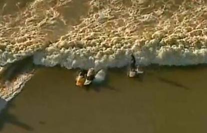 Engleska: Surferi na rijeci Severn 'zajahali' plimni val
