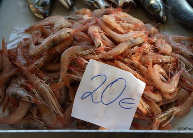 Šibenik: Ponuda ribe u šibenskoj ribarnici