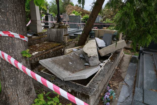 U oluji porušena stabla na Mirogoju napravila su veliku štetu