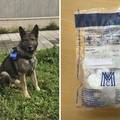 FOTO Zaustavili ih kod Vodica, policijski pas pronašao kokain na zadnjem sjedištu. Uhitili ih