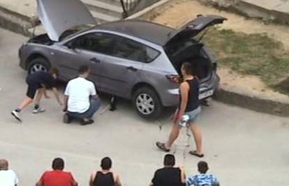 Split: Bjelouška duga dva metra prestrašila djecu