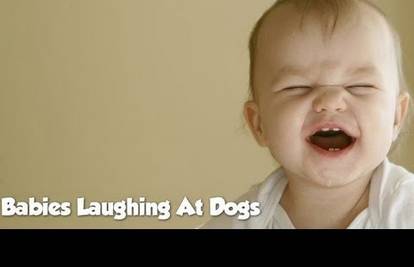 Preslatko: Bebe se ne mogu prestati smijati psećim trikovima