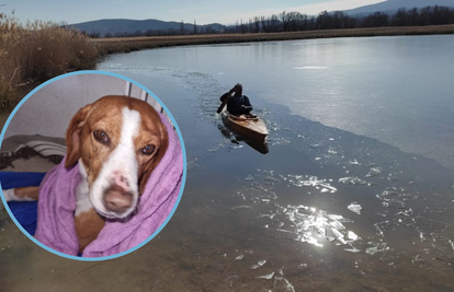 Pas Brinja propao kroz zaleđeno jezero, spašavali ga sat i pol