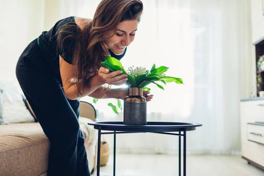 Zbog ovih aromatičnih biljki vaš dom će mirisati božanstveno