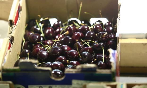 Koštaju poput suhog zlata, ali i vrijede: Evo zašto bismo svaki dan trebali jesti trešnje