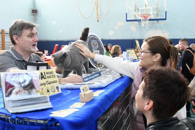 Bjelovar: Međunarodna izložba pasminskih mačaka u organizaciji Saveza felinoloških društava Hrvatske