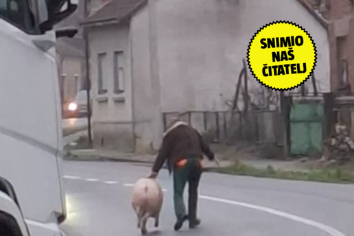 FOTO Bijeg stoljeća na četiri papka: 'Znala je da ide u čvarke pa je zbrisala. Hvatali su je'