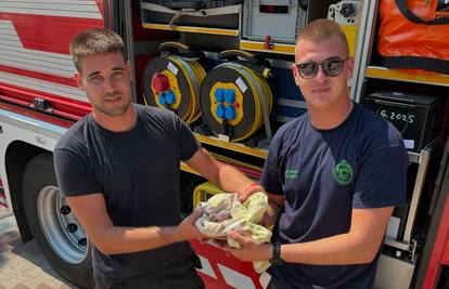 Vatrogasci iz Tučepa spasili su malenu vjevericu! 'Odnijeli smo je veterinaru na pregled...'