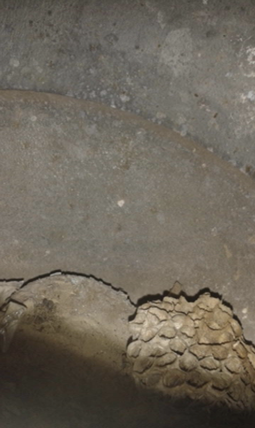 Almena otkrio kada će se vratiti na teren i hoće li ostati u Splitu