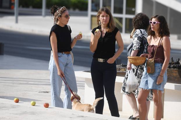 Šibenik: Performans "Uberimo plodove ženske borbe za slobodu"