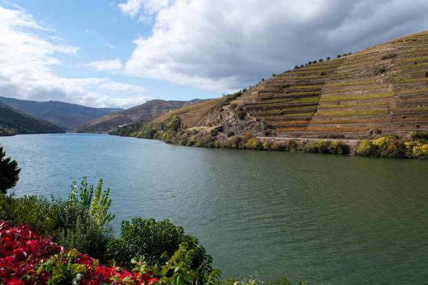 Panoramic view on Douro river valley and colorful hilly stair st