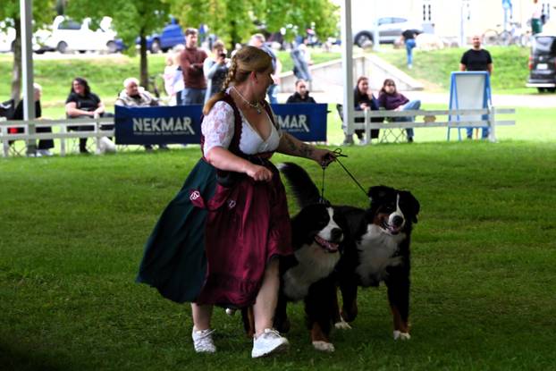 FOTO Neodoljive su njuškice ovih dana blistale u Karlovcu