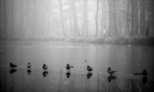 FOTO Predivni prizori iz ledom okovanog parka Maksimir