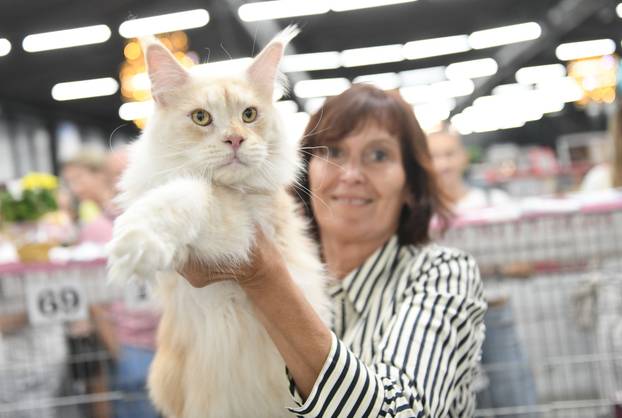 Zagreb: Međunarodna izlozba mačaka privukla brojne posjetitelje u Family Mall