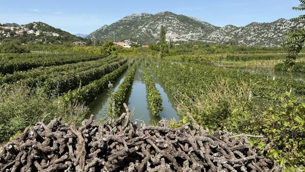 Vrgorac: Posljedice obilnih kiša na području općine Pojezere