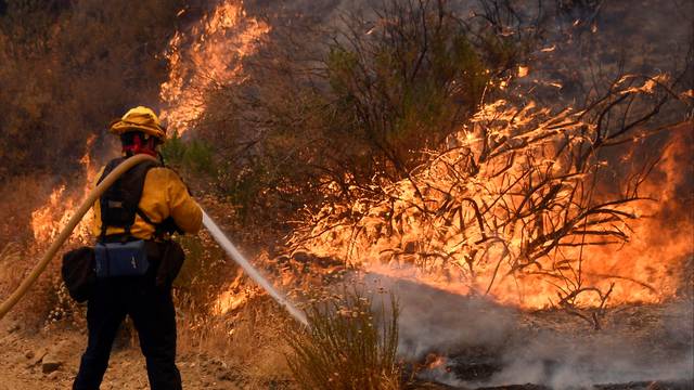 A fire fighter battles the so-called Sand Fire in the Angeles National Forest near Los Angeles, California