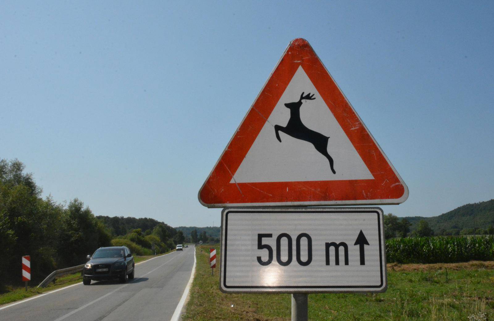Prometni znak "divljač na cesti" na prometnici Slavonski Brod - Požega