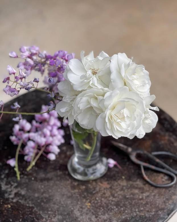FOTO Tajne kralja cvjetnih aranžmana: 'S Majkom Terezom sam jeo uskršnji doručak'
