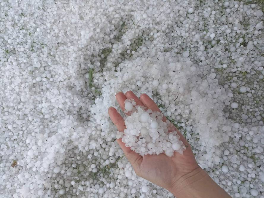 VIDEO Tuča je poharala dijelove Hrvatske: 'Led je uništio povrće, kukuruz, pšenicu. Velika šteta'