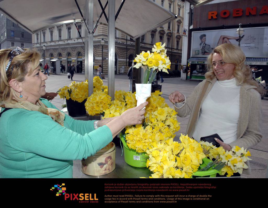 Pixsell