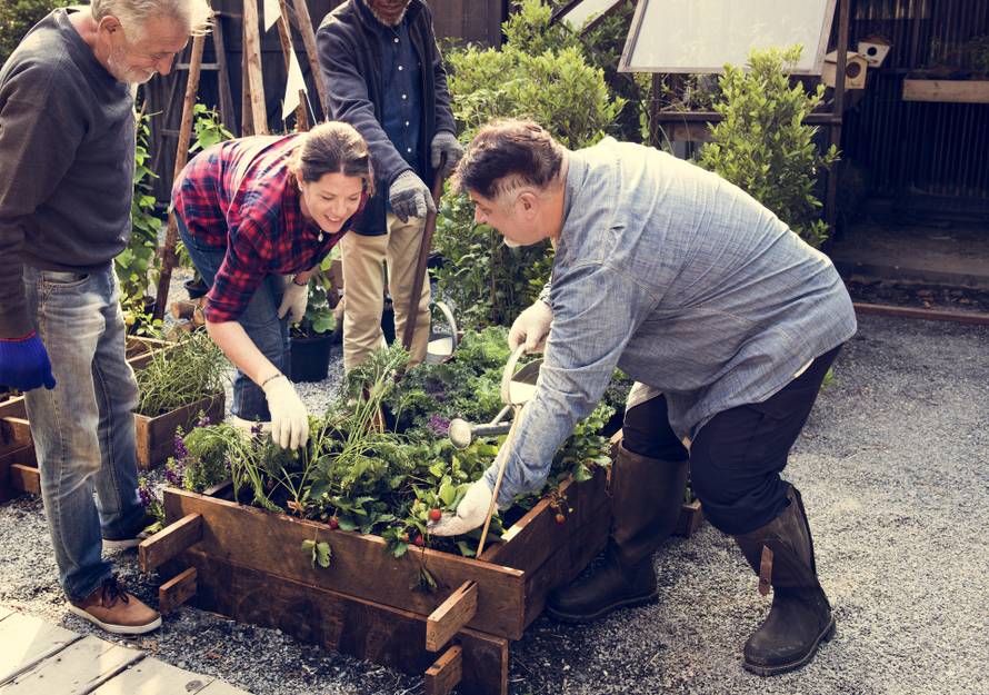 Group,Of,People,Gardening,Backyard,Together