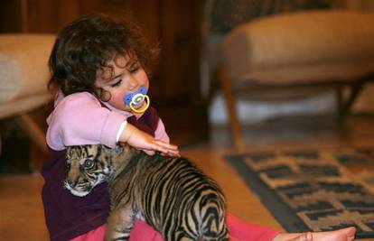 Djevojčica iz Izraela igra se sa napuštenim tigrićem