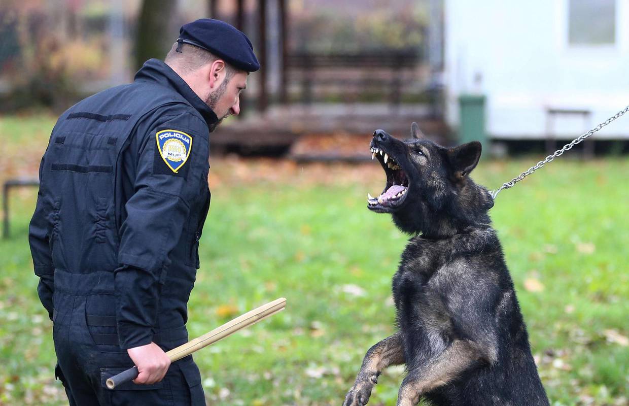 Pas Franz ruši kriminalce, štiti policajce, ne boji se ni pucnjave: 'S nama je već četiri godine'