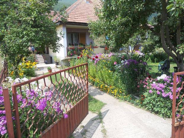 FOTO Najljepša dvorišta i kućni vrtovi - pronađite inspiraciju za vlastitu biljnu oazu