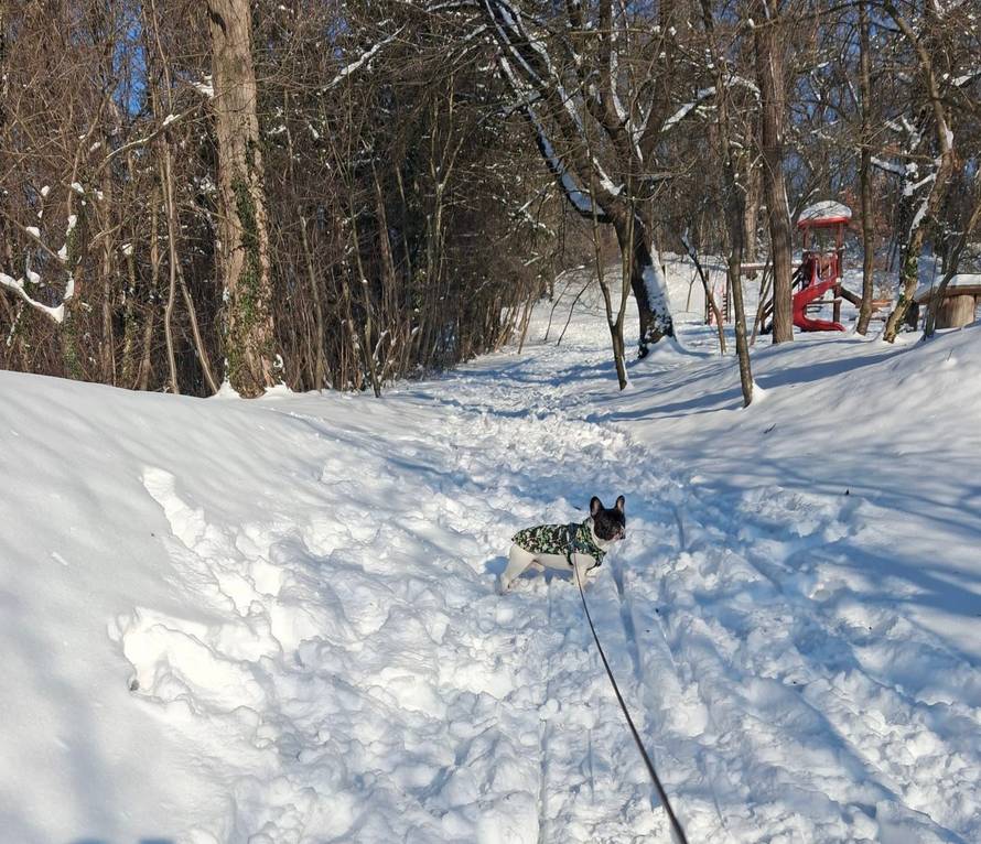 Općinska komunalka sama 'izlopatala' snijeg sa staze: 'Nema nikakve drame u tome'