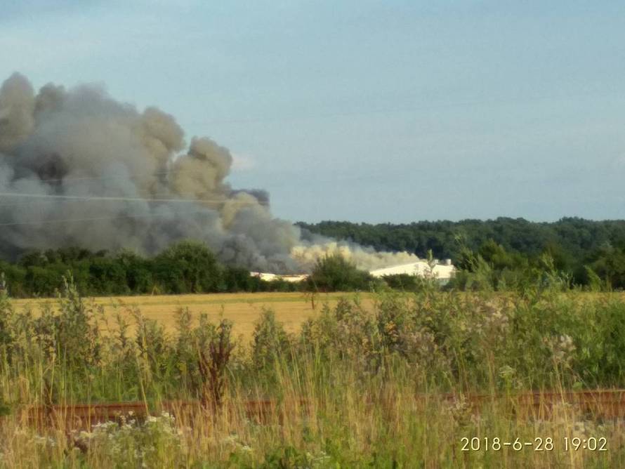Izgorjelo 1000 svinja na farmi? Veliki požar su gasili do jutra