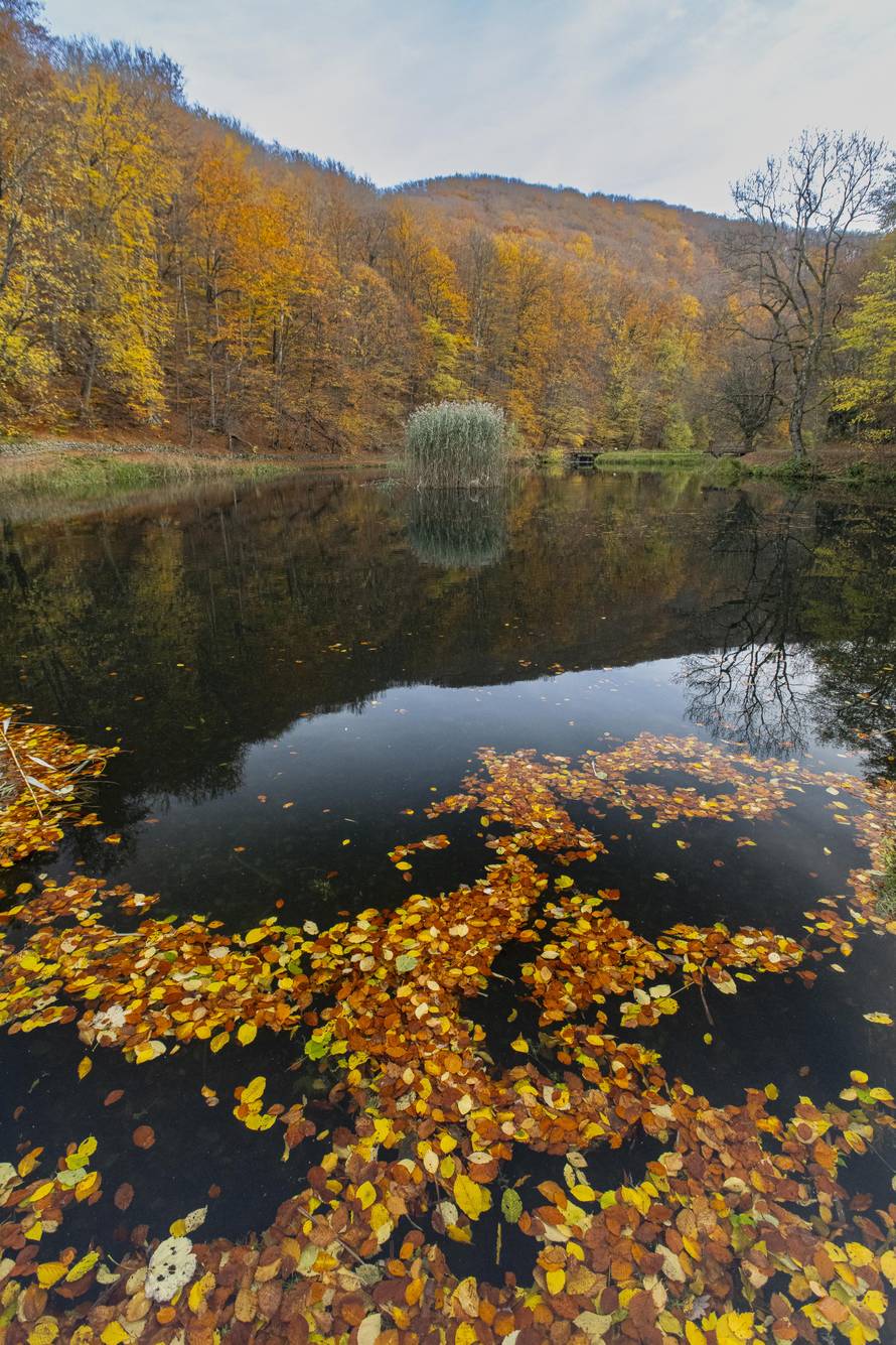 Jesenski izlet u jednu od najzelenijih destinacija Hrvatske: Vrata Papuka