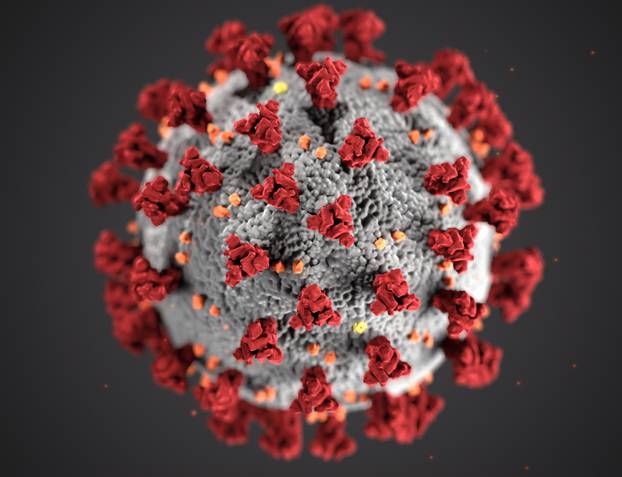 Ilustracija korona virusa
