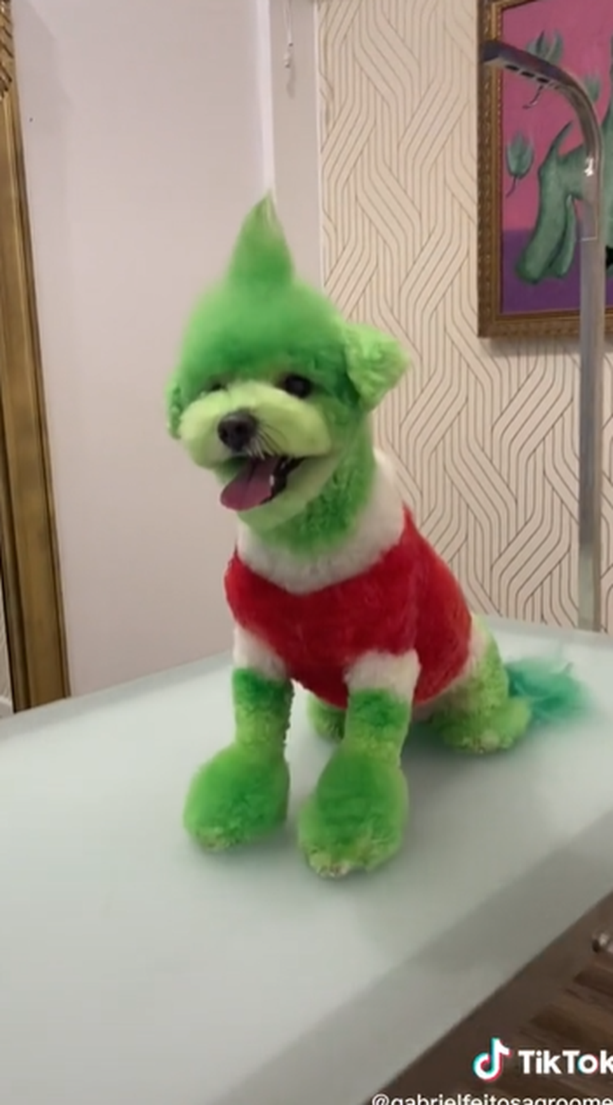 Pas je nakon šišanja - Grinch!