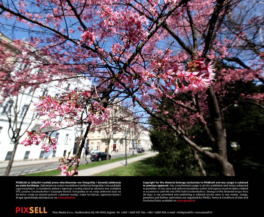 Patrik Macek/Pixsell