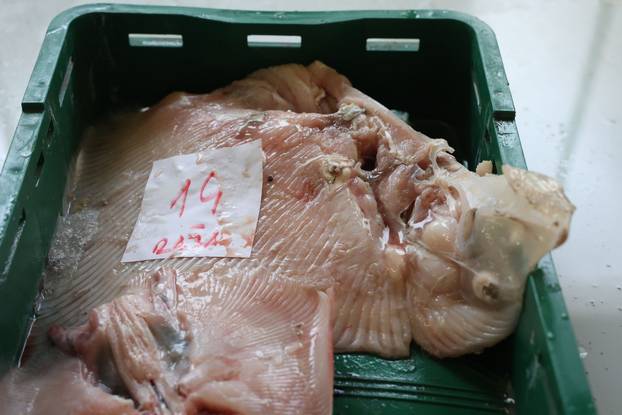 Šibenik: Ponuda na šibenskoj ribarnici